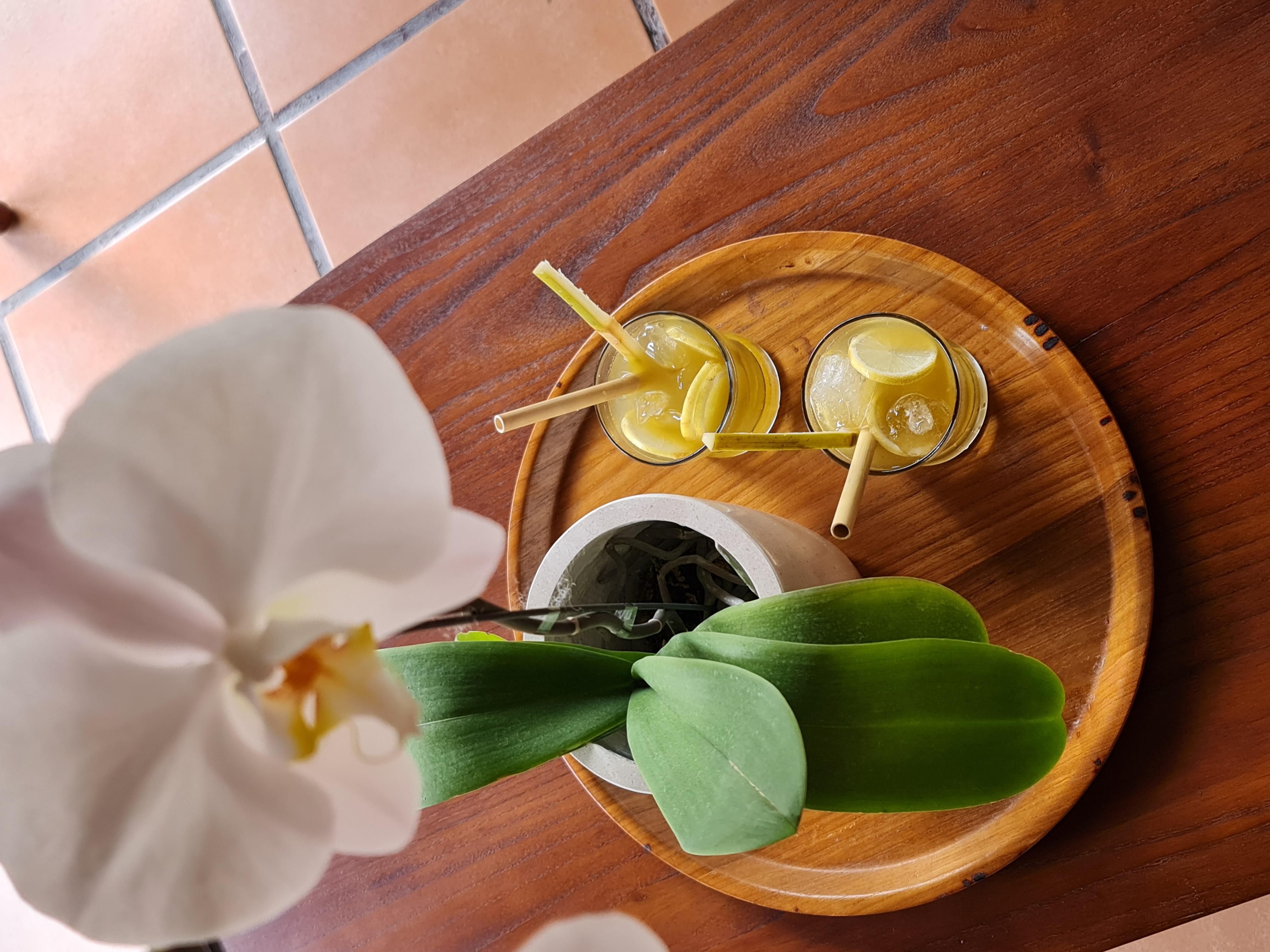 Japa Suites & Villas Ubud  Exterior photo